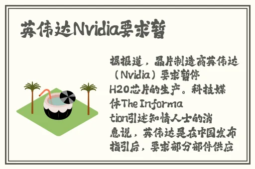 九幺1.0.31版本风险